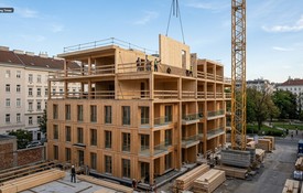 Die Integration von Treibhausgas-Emissionen in die finanzielle Gesamtbilanz transformiert ökologische Tragwerkentscheidungen in handfeste geldwerte Vorteile
