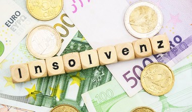 Die Elektro- u. Schaltanlagenbau Winter Gesellschaft m.b.H. ist insolvent.