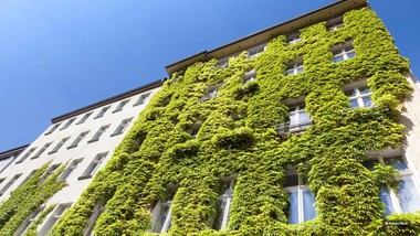 Wie stark die Begrünung wirkt, zeigt eine neue Studie