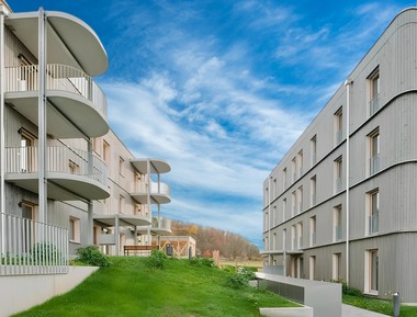 Zwölf Holzhäuser in einem Jahr