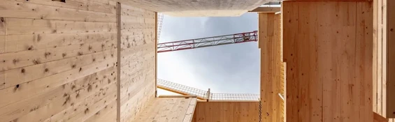 Wird der Holzbau bevorzugt behandelt? 