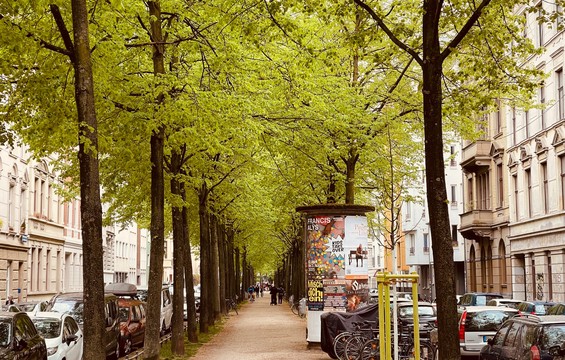 KI-Experten möchten Münchens Bäume zu KI-Grün machen