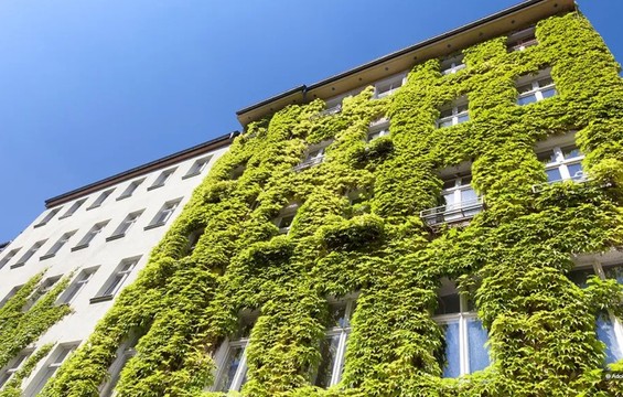 Wie stark die Begrünung wirkt, zeigt eine neue Studie