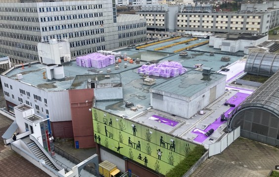 Gemüseanbau auf den Dächern von Paris
