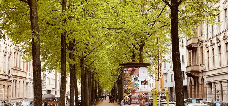 KI-Experten möchten Münchens Bäume zu KI-Grün machen