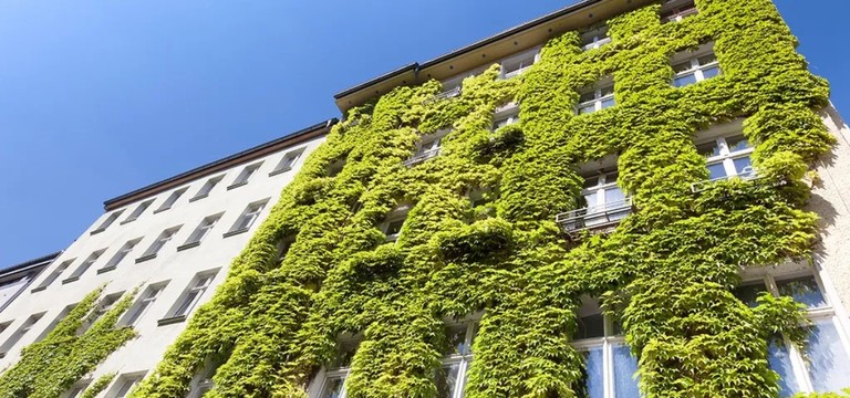 Wie stark die Begrünung wirkt, zeigt eine neue Studie